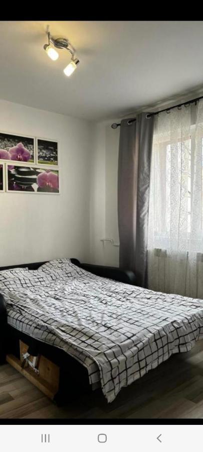 Zenapartment Braşov Exterior foto